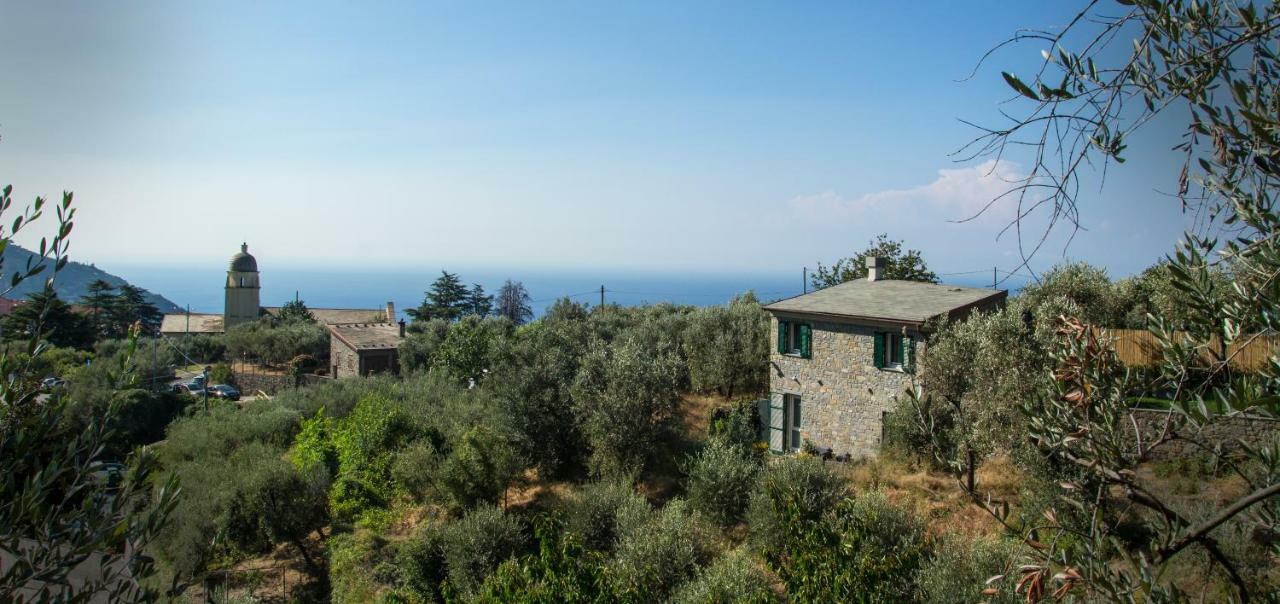 The Garden Βίλα Volastra Εξωτερικό φωτογραφία